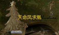 天命凤求凰